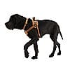 Additional thumbnail 2 of CARGO SERIES NYLON RIPSTOP WORK DOG HARNESS
