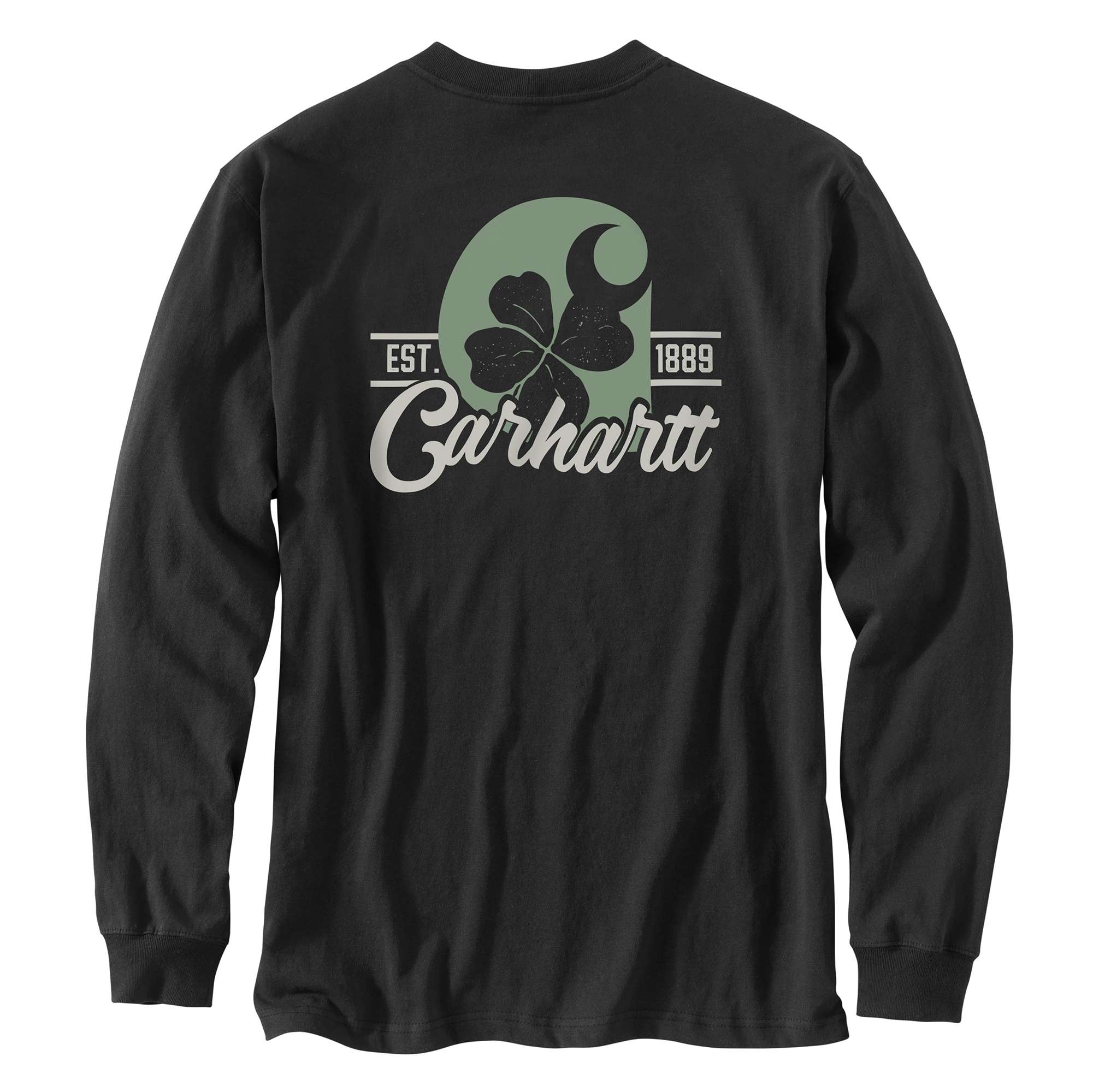 Carhartt Loose Fit Heavyweight Long-Sleeve Shamrock Graphic T-Shirt