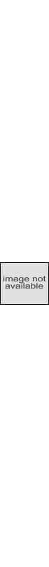 Carhartt Force® Relaxed Fit Mock Neck Half-Zip Fleece-Lined Shirt