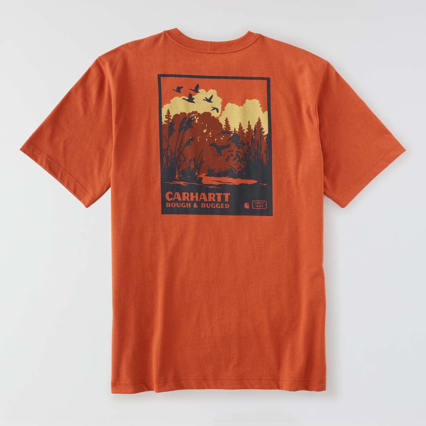Мужская футболка Carhartt Irvine Relaxed Ducks, цвет: Красный — фото 9