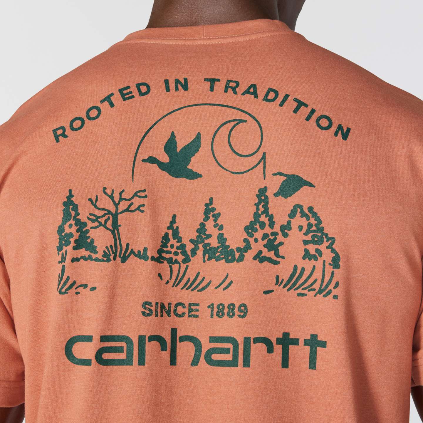 Мужская футболка Carhartt Irvine Relaxed Duck Landscape, цвет: Кирпичный меланжевый — фото 3