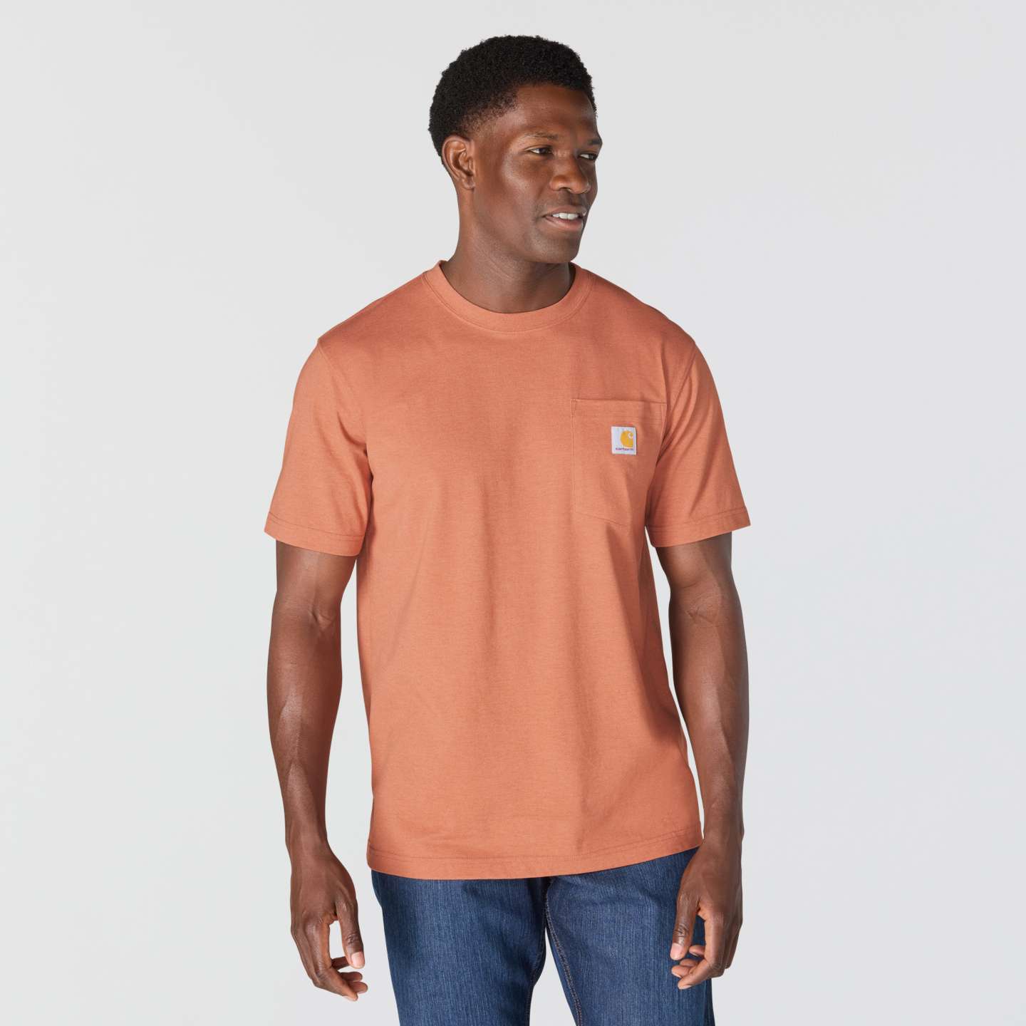 Мужская футболка Carhartt Irvine Relaxed Duck Landscape, цвет: Кирпичный меланжевый — фото 2
