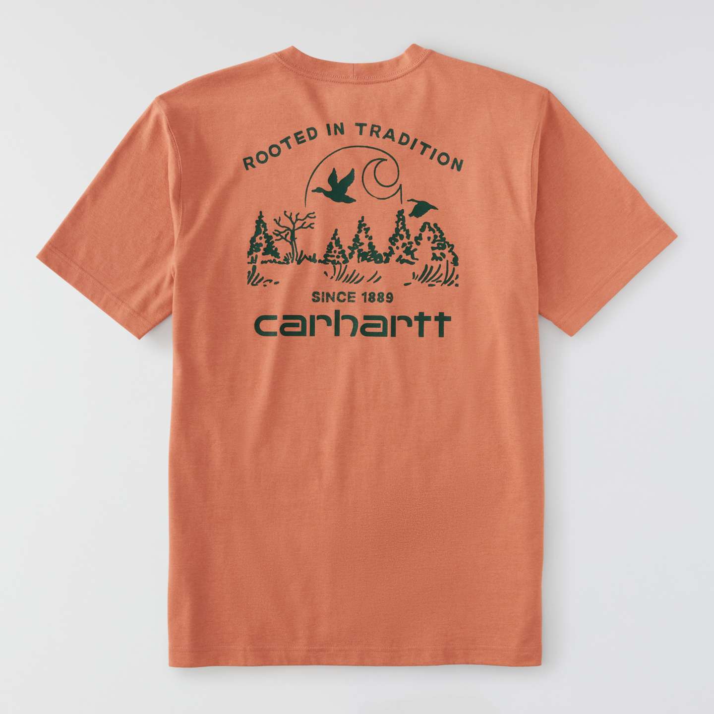 Мужская футболка Carhartt Irvine Relaxed Duck Landscape, цвет: Кирпичный меланжевый — фото 9