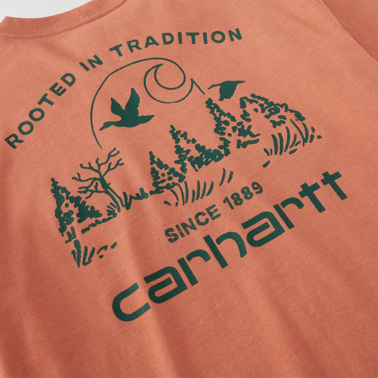Мужская футболка Carhartt Irvine Relaxed Duck Landscape, цвет: Кирпичный меланжевый — фото 7