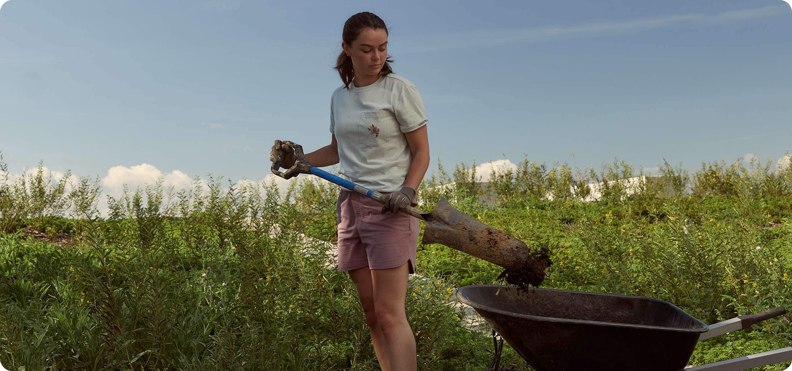 Emily of Ozark Green Roofs shoveling soil into a wheelbarrow while wearing a Carhartt tee, shorts, and gloves.