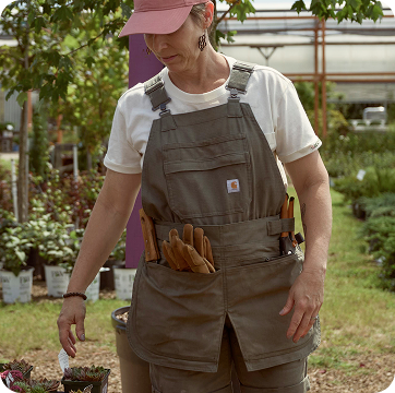 Rooted in work collection