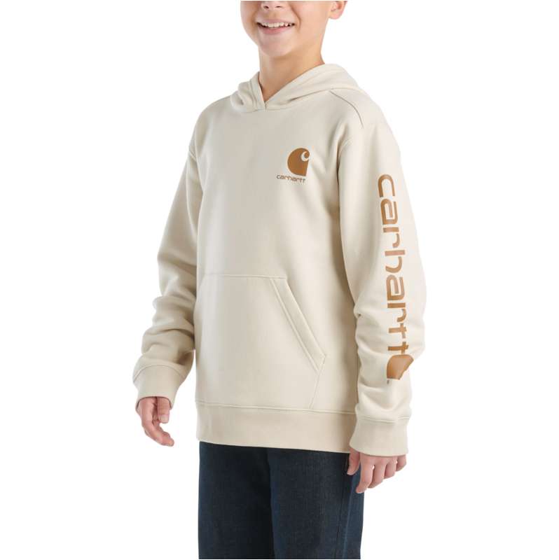 Carhartt  Chalk Boys' Long-Sleeve Graphic Sweatshirt (Toddler/Child/Youth)