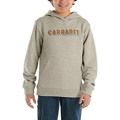 Carhartt Infant boy,toddler boy,child boy Heather Gray Boys' Long Sleeve Graphic Sweatshirt (Toddler/Child/Youth)