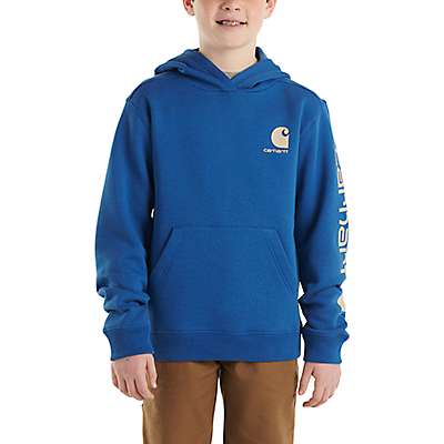 Carhartt Child boy,youth boy Navy Boys' Long-Sleeve Graphic Sweatshirt (Child/Youth)