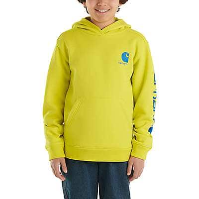 Carhartt Child boy,youth boy Brite Lime Boys' Long-Sleeve Graphic Sweatshirt