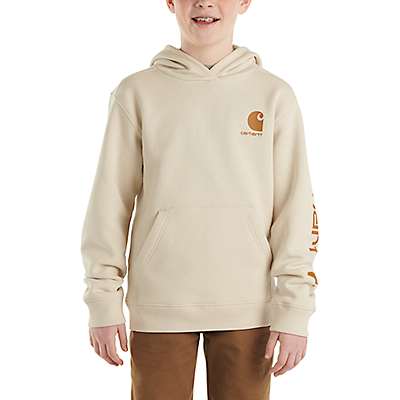 Carhartt Child boy,youth boy Malt Boys' Long-Sleeve Graphic Sweatshirt