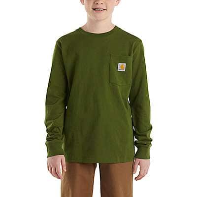 Carhartt Toddler boy,child boy,youth boy Chive Boys' Long-Sleeve Graphic Pocket T-Shirt