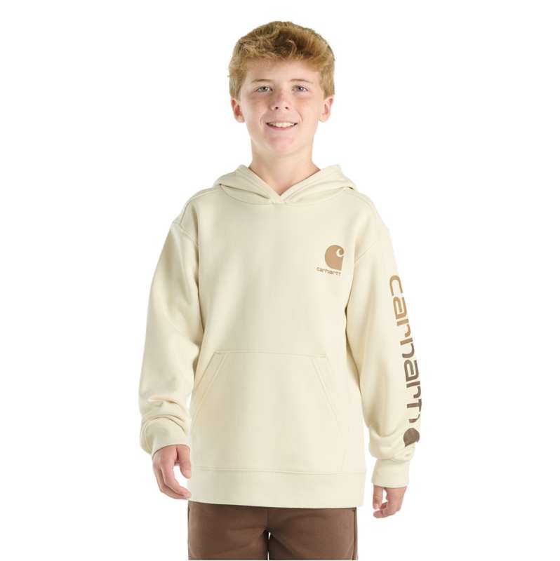 Carhartt  Chalk Boys' Long Sleeve Graphic Sweatshirt (Child)