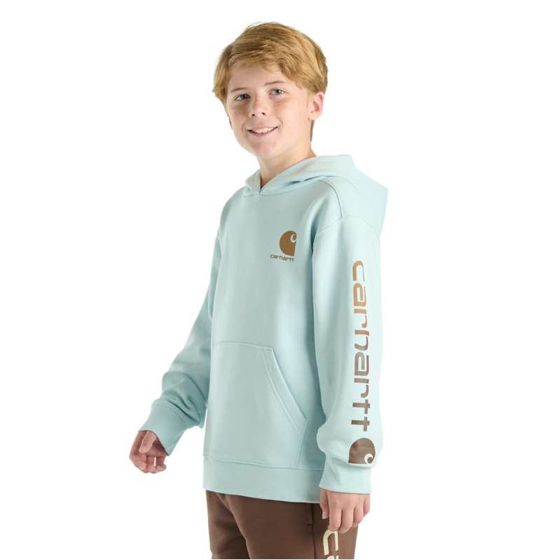 Carhartt  Pale Blue Boys' Long Sleeve Graphic Sweatshirt (Child/Youth)