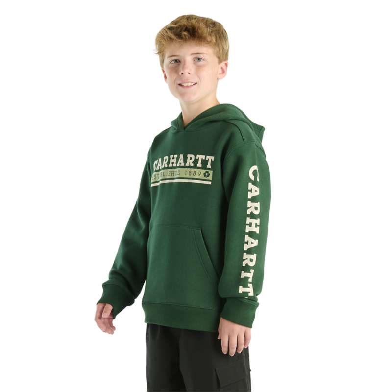 Carhartt  Mountain View Boys' Long Sleeve Graphic Sweatshirt (Toddler/Child/Youth)