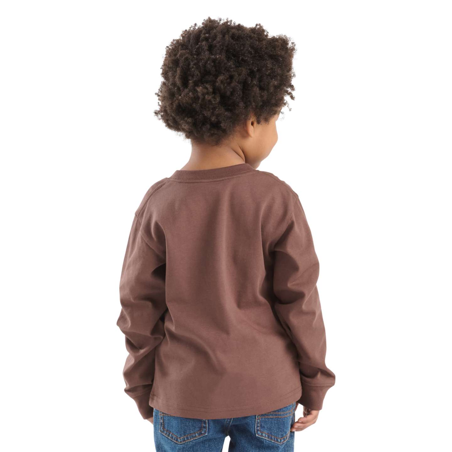 Футболка Carhartt Long Sleeve Logo T-Shirt (Toddler/Child/Youth) для мальчиков, цвет: Каштановый — фото 3