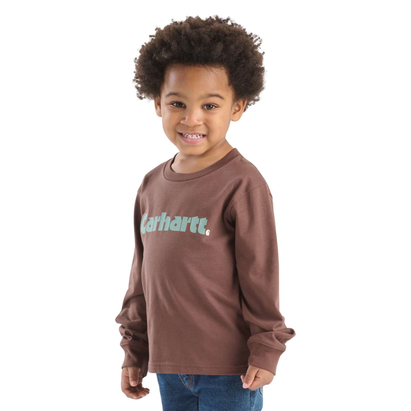 Футболка Carhartt Long Sleeve Logo T-Shirt (Toddler/Child/Youth) для мальчиков, цвет: Каштановый — фото 5