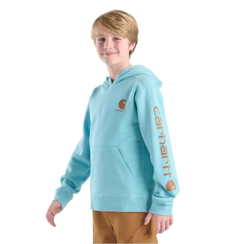 Carhartt  Dusted Aqua Boys' Long Sleeve Graphic Sweatshirt (Child/Youth)