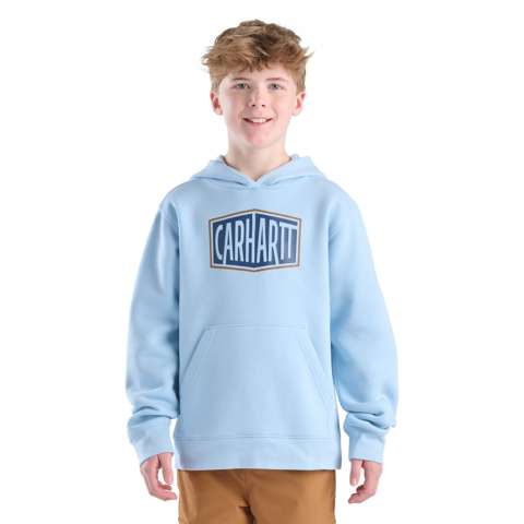 Детские худи Carhartt Boys' Long Sleeve Graphic Sweatshirt (Toddler/Child/Youth)