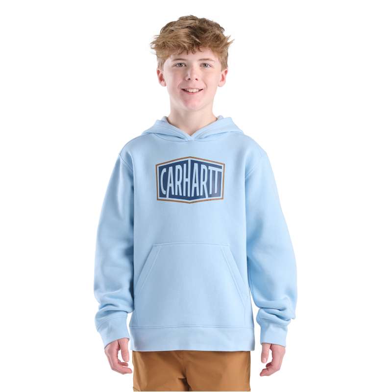 Carhartt  Light Aqua Boys' Long Sleeve Graphic Sweatshirt (Toddler/Child/Youth)