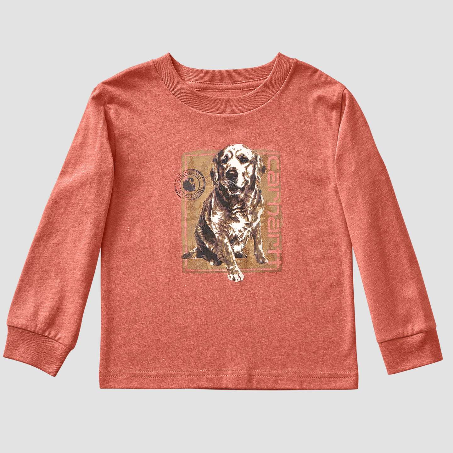 Рубашка Carhartt Long Sleeve Dog для мальчиков, цвет: Красный меланжевый — фото 5