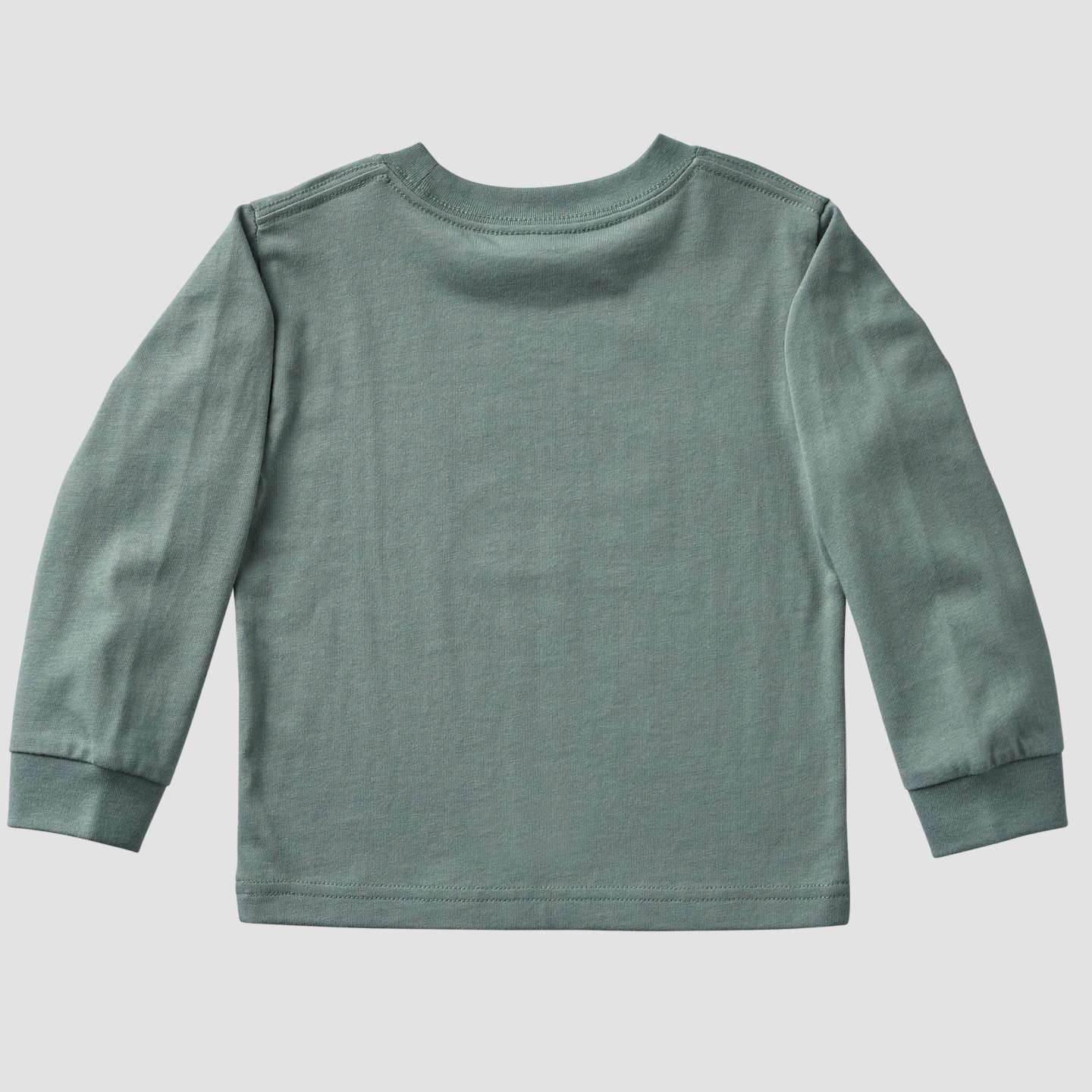 Футболка Carhartt Long Sleeve Puppy для мальчиков-малышей, цвет: Винтажный зелёный — фото 6