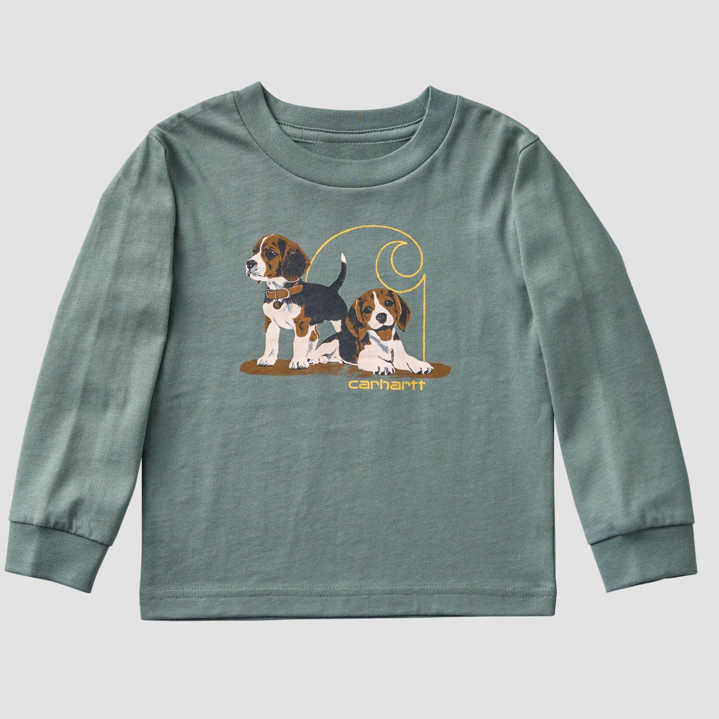 Футболка Carhartt Long Sleeve Puppy для мальчиков-малышей, цвет: Винтажный зелёный — фото 5