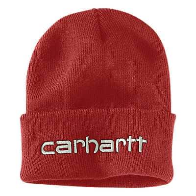 Carhartt KNIT INSULATED LOGO GRAPHIC CUFFED BEANIE - front