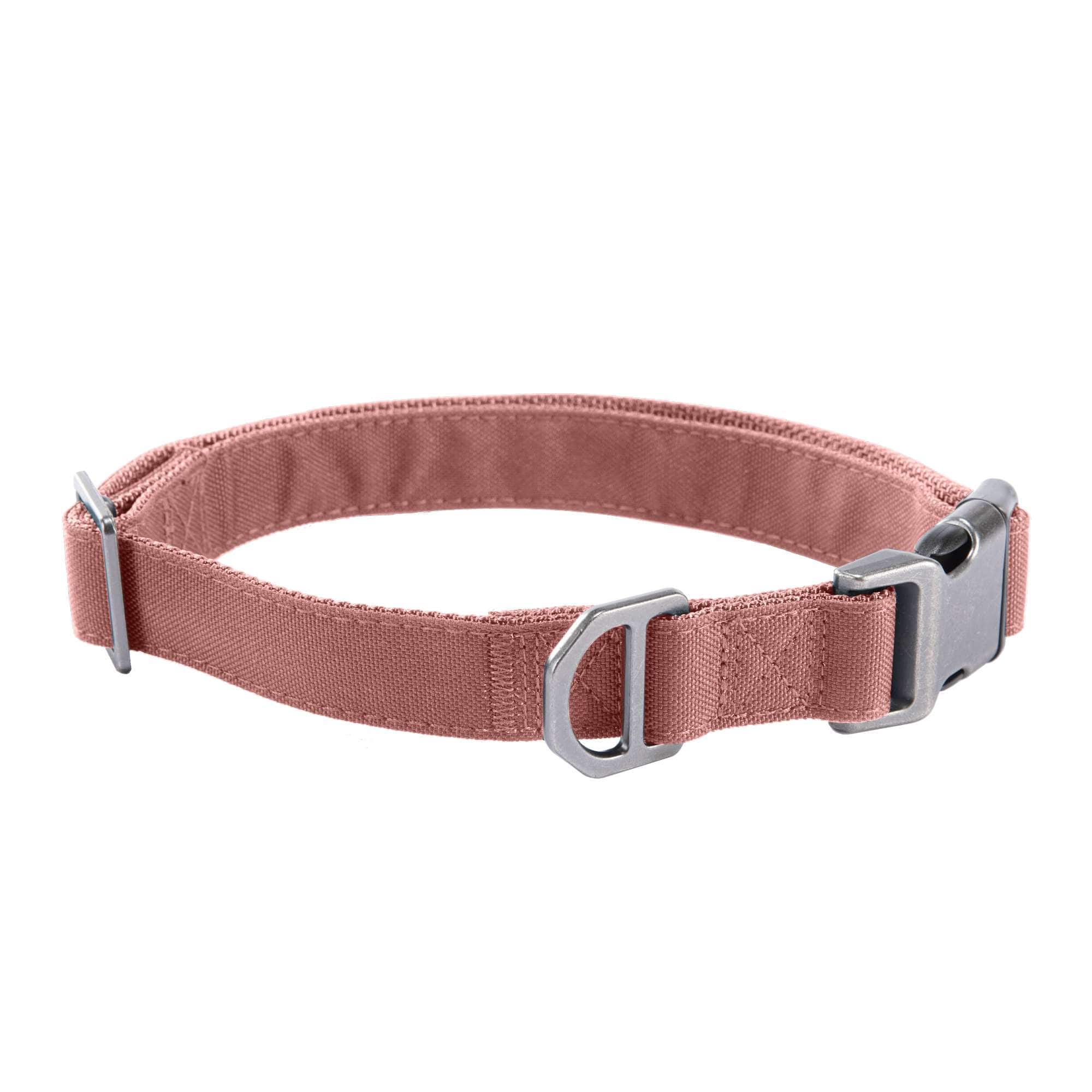 Carhartt Field Dog Collar