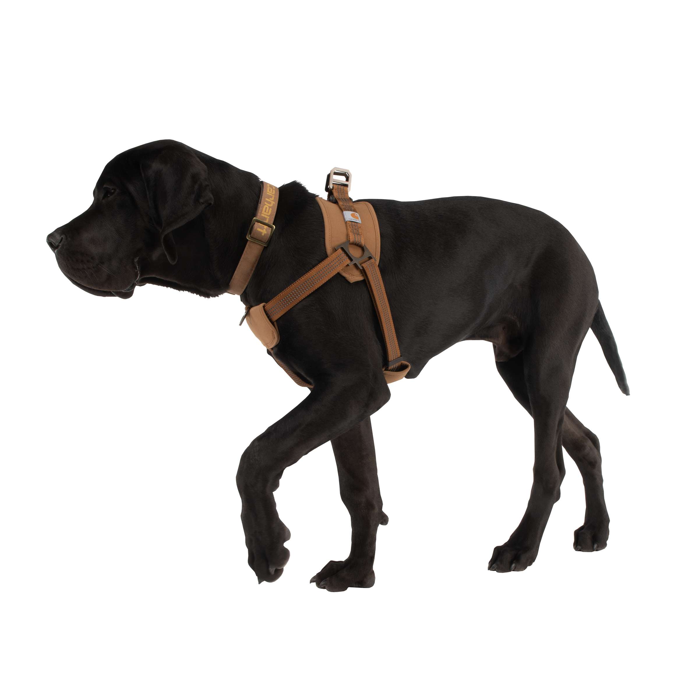 Additional thumbnail 2 of Cargo Series Nylon Ripstop Work Dog Harness