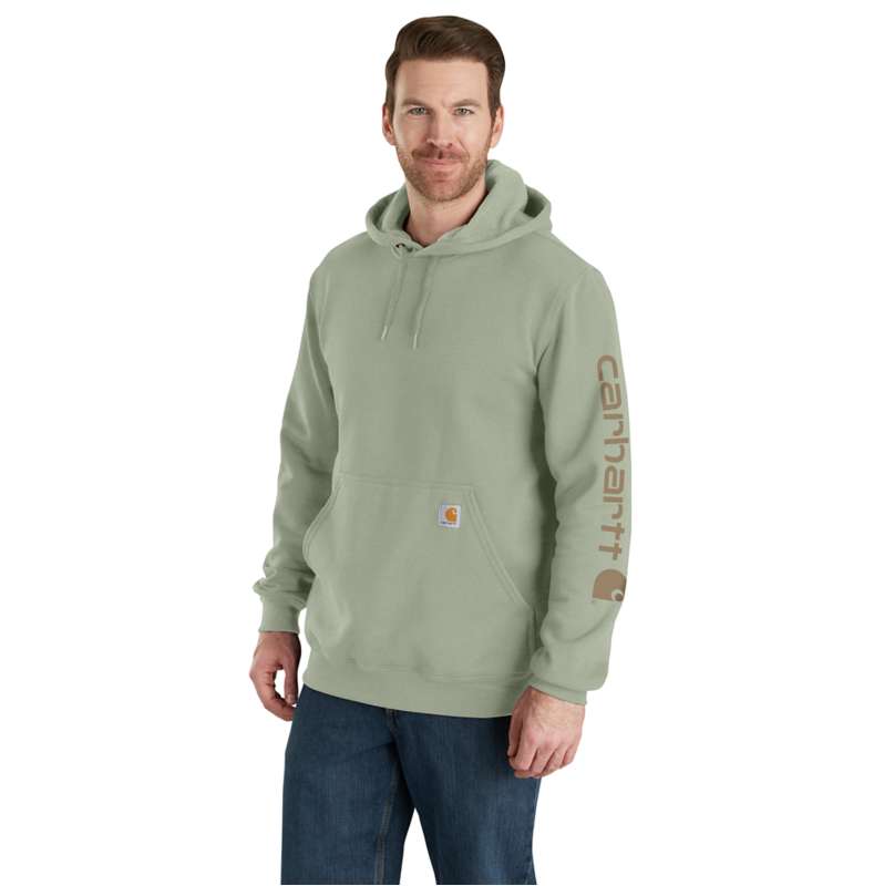 Carhartt  Sage Loose Fit Midweight Logo Sleeve Graphic Hoodie