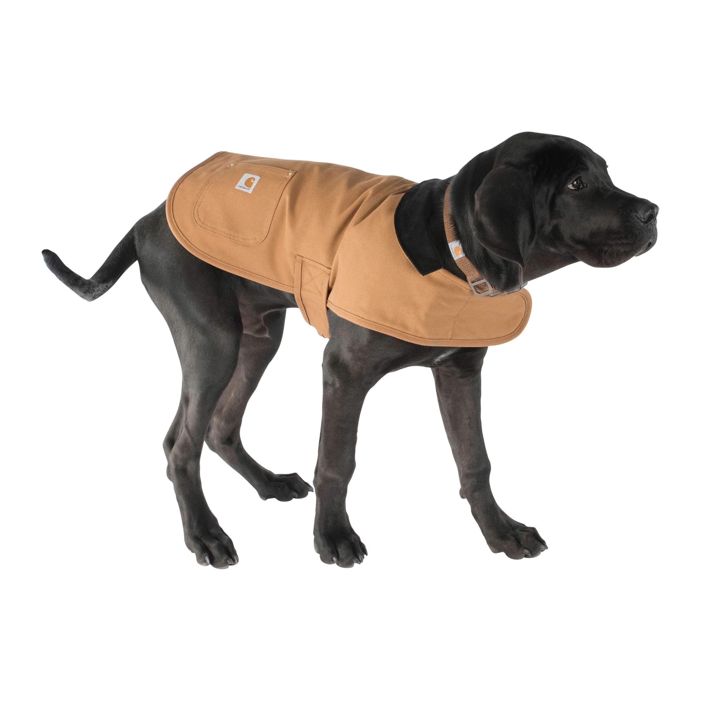 carhartt dog chore coat orange