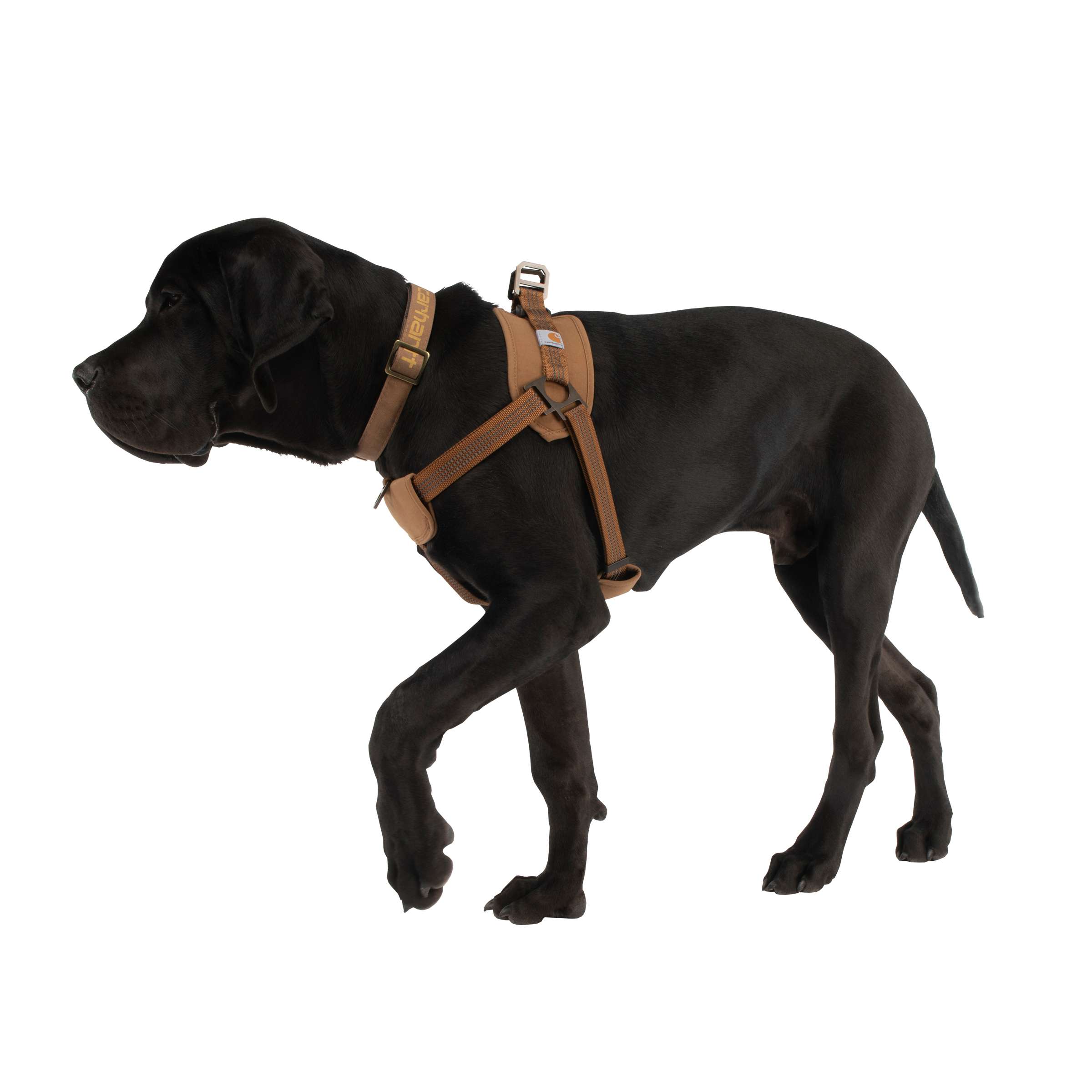 carhartt chore coat for dogs