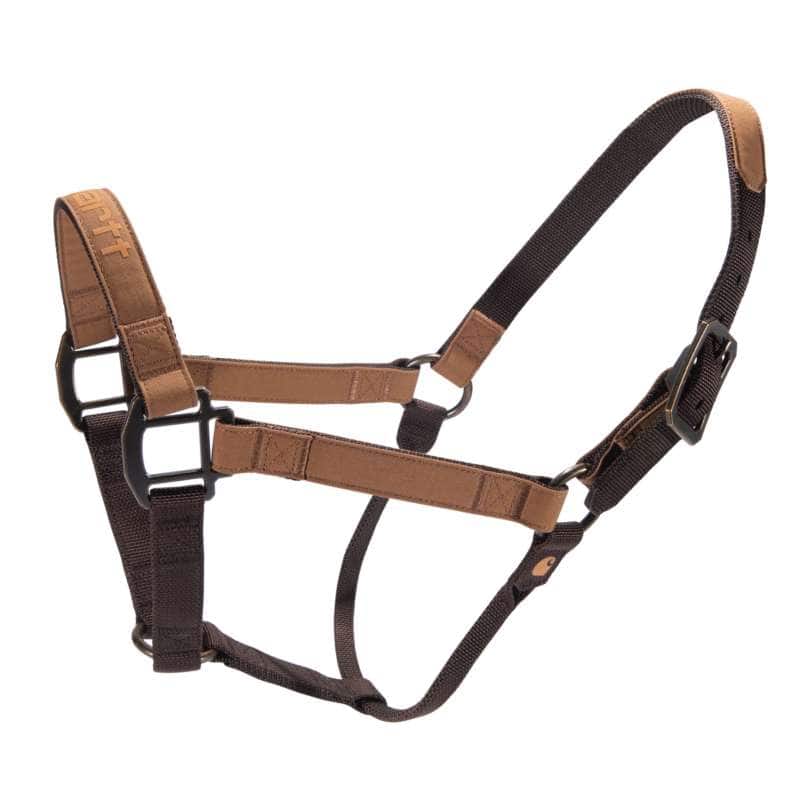 Dog Collar