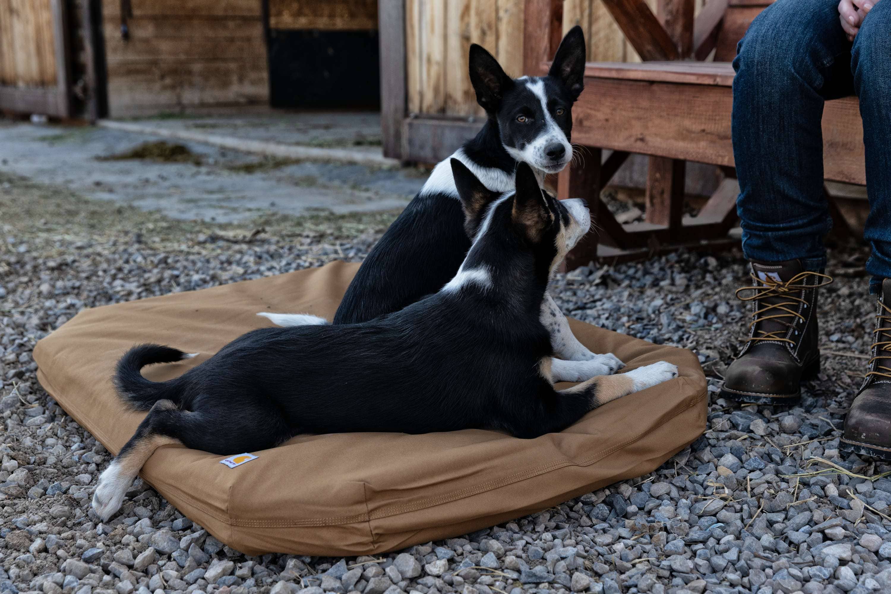 Additional thumbnail 2 of Field Dog Bed