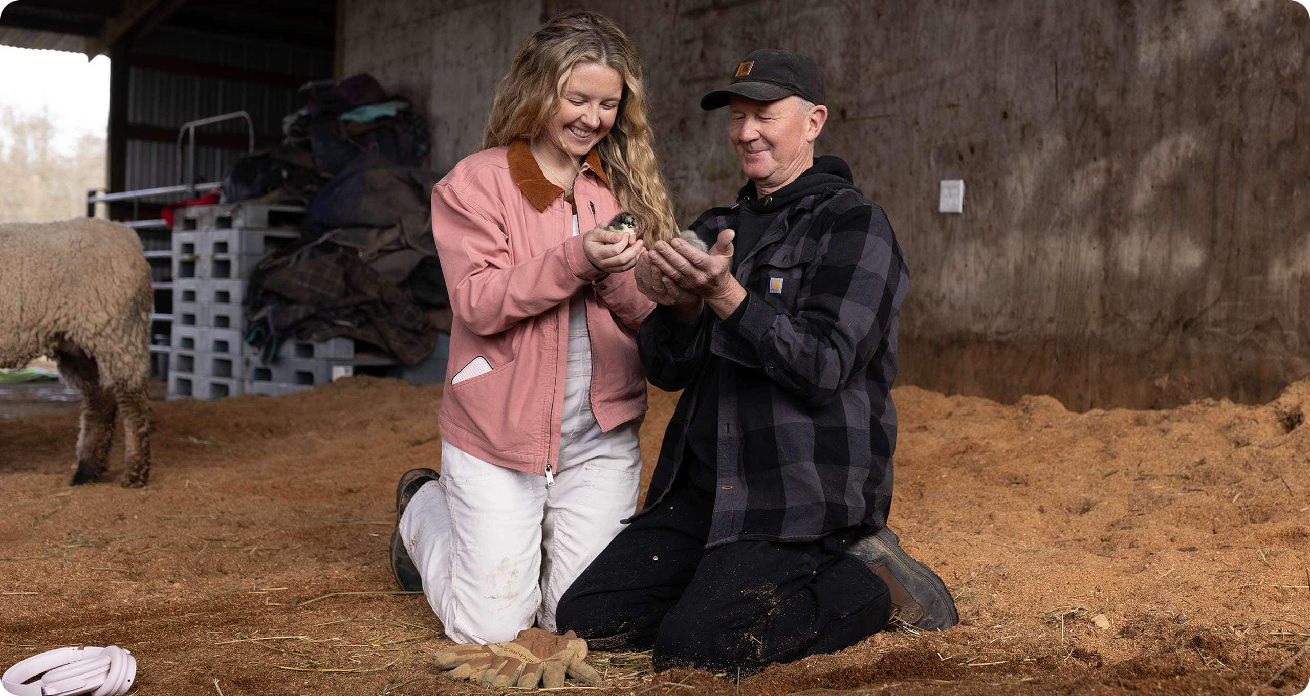 Bo Petterson and Emily Petterson wearing Carhartt workwear holding chicks in a barn.